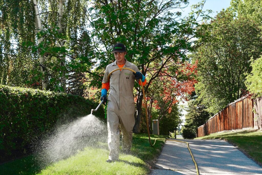 Tech Spraying For Chinch