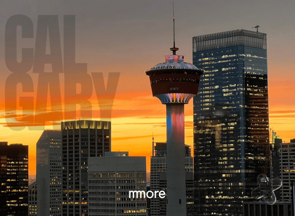 AEO & SEO Services Calgary